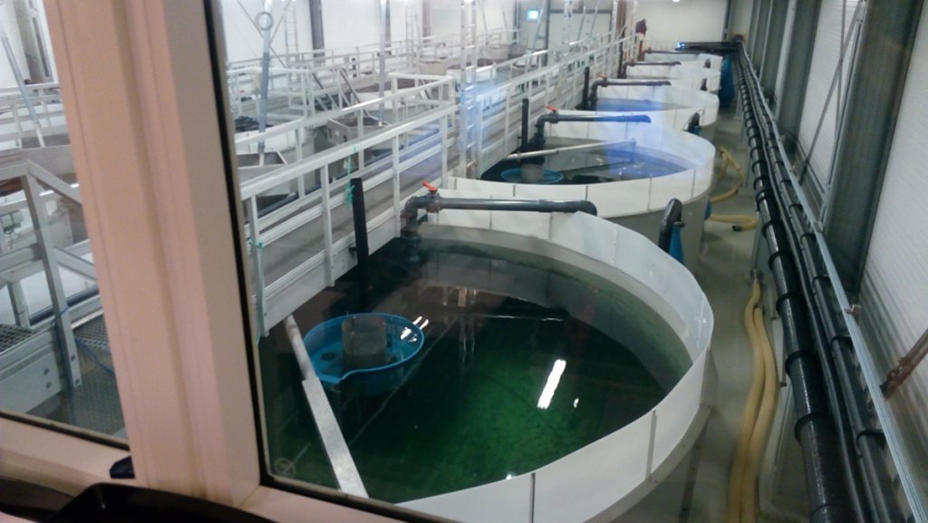 A fully automated container for sludge dewatering